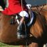 Tennessee Valley Hunt Opening Meet
